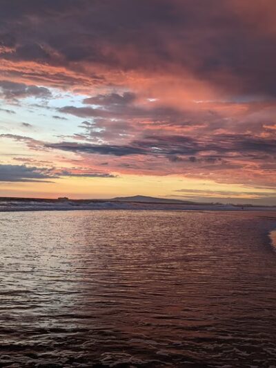 Dog Beach | Huntington Beach - Huntington Beach, CA