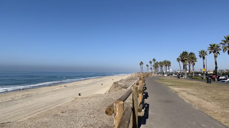 Dog Beach | Huntington Beach - Huntington Beach, CA