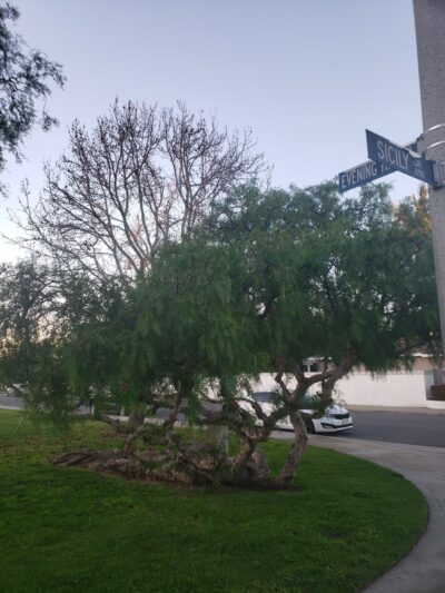 Finley Park - Huntington Beach, CA