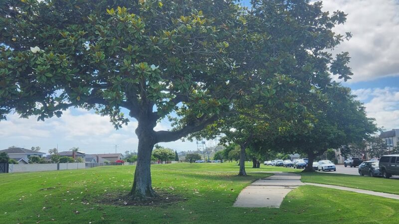 Gisler Park - Huntington Beach, CA