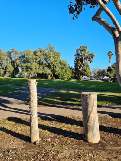 Huntington Beach Central Park - Huntington Beach, CA