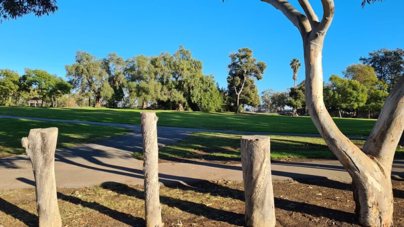 Huntington Beach Central Park - Huntington Beach, CA