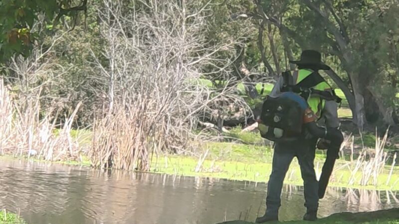Huntington Beach Central Park - Huntington Beach, CA