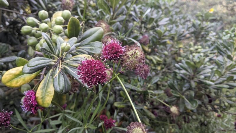 Huntington Beach Central Park - Huntington Beach, CA