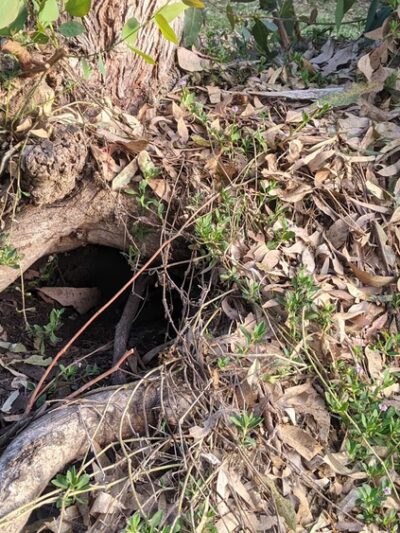 Huntington Beach Central Park - Huntington Beach, CA