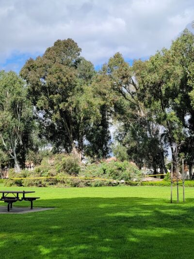 Huntington Beach Central Park West - Huntington Beach, CA