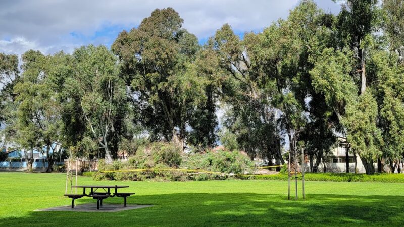 Huntington Beach Central Park West - Huntington Beach, CA