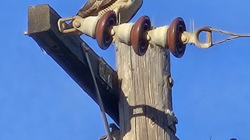 Irby Park - Huntington Beach, CA