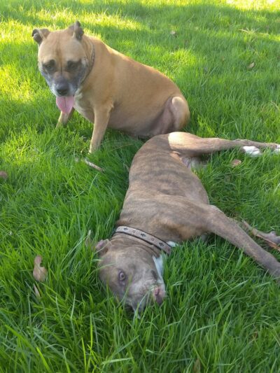 Irby Park - Huntington Beach, CA