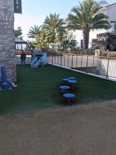 PawSea Dog Relief at Pasea Hotel - Huntington Beach, CA