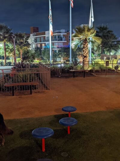 PawSea Dog Relief at Pasea Hotel - Huntington Beach, CA