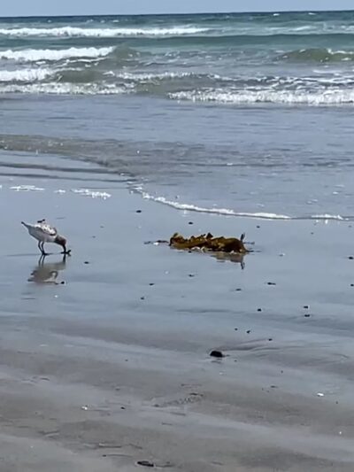Sunset Beach Parking - Huntington Beach, CA