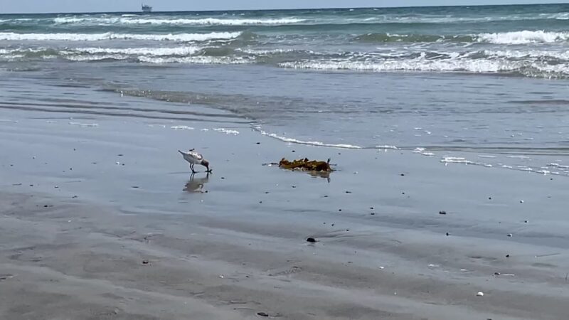 Sunset Beach Parking - Huntington Beach, CA