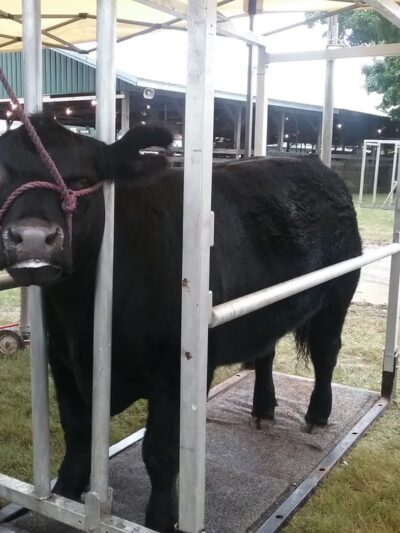 Huntington County Fairgrounds - Huntington, IN