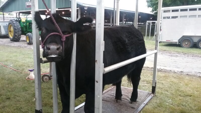 Huntington County Fairgrounds - Huntington, IN