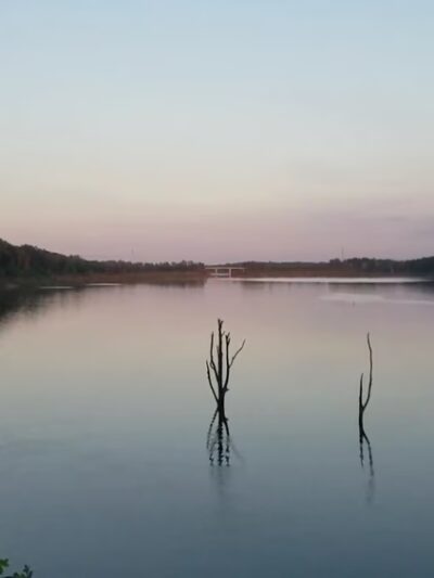 J. E. Roush Fish and Wildlife Area - Huntington, IN