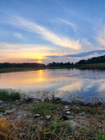 J. E. Roush Fish and Wildlife Area - Huntington, IN