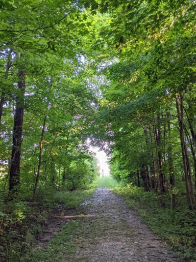Pehkokia Woods - ACRES Land Trust - Huntington, IN