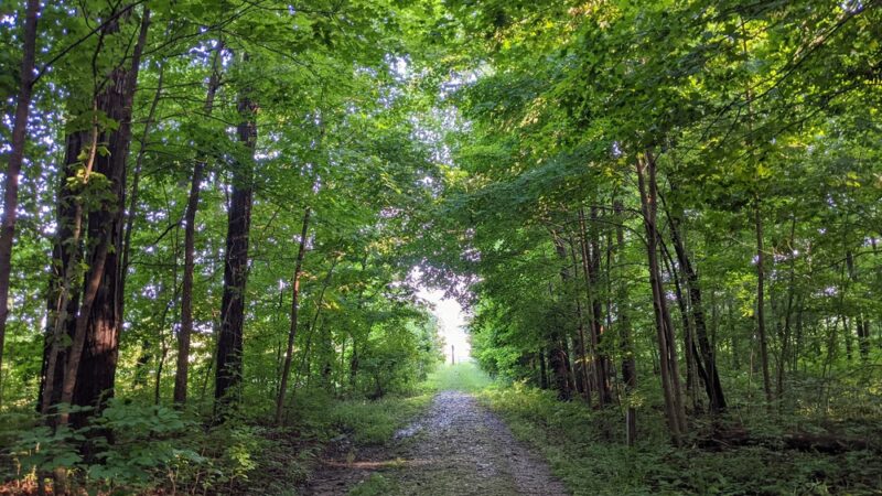 Pehkokia Woods - ACRES Land Trust - Huntington, IN