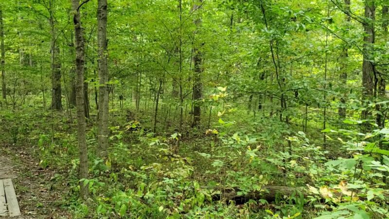 Pehkokia Woods - ACRES Land Trust - Huntington, IN