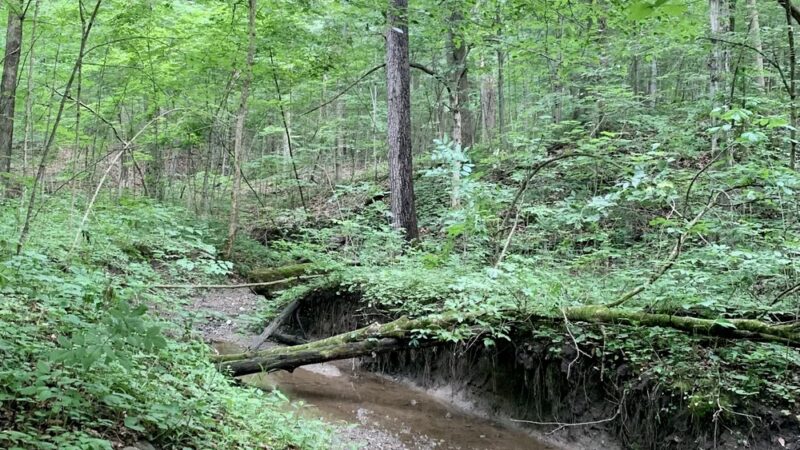 Pehkokia Woods - ACRES Land Trust - Huntington, IN