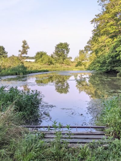 Pehkokia Woods - ACRES Land Trust - Huntington, IN