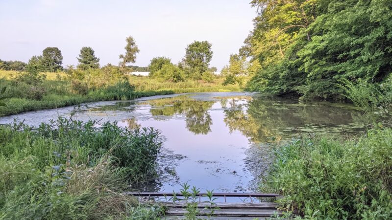 Pehkokia Woods - ACRES Land Trust - Huntington, IN