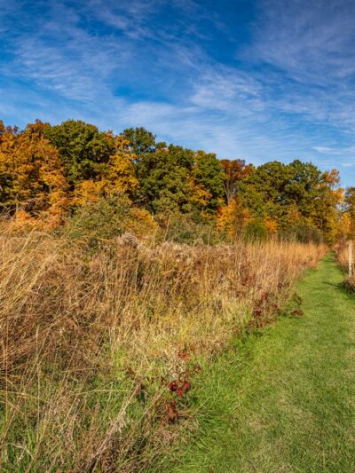 Tel-Hy Nature Preserve - Acres Land Trust - Huntington, IN
