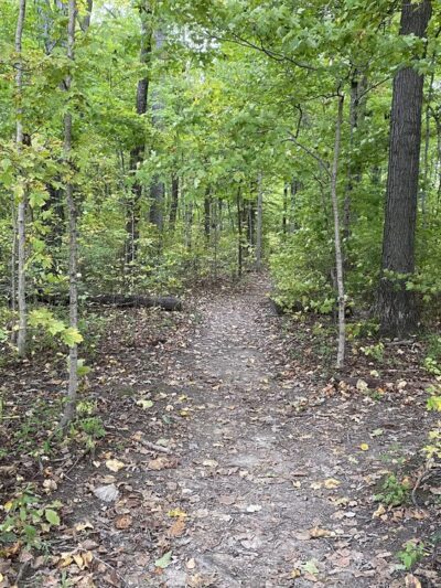 Tel-Hy Nature Preserve - Acres Land Trust - Huntington, IN