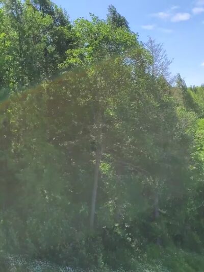 Knightville Dam - Huntington, MA