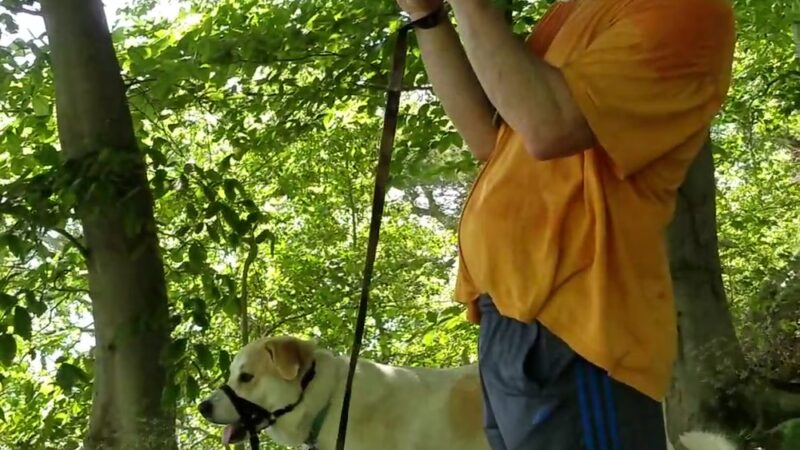 Kings Landing Park - Huntingtown, MD