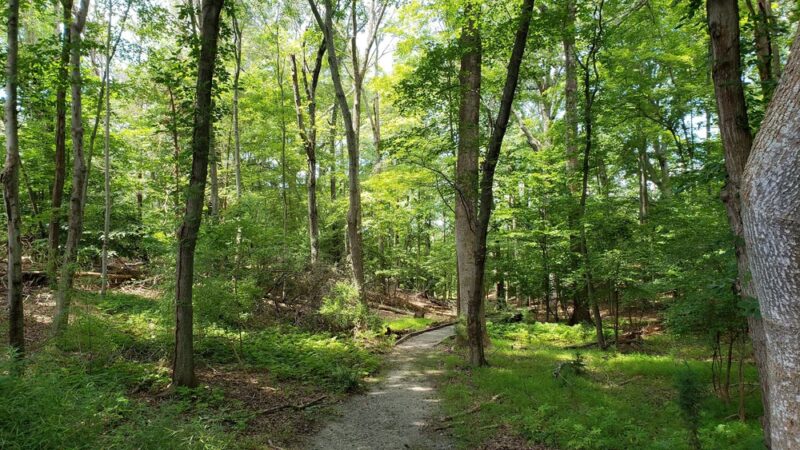 Kings Landing Park - Huntingtown, MD