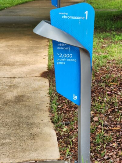 McMillian Park Double Helix Trail - Huntsville, AL