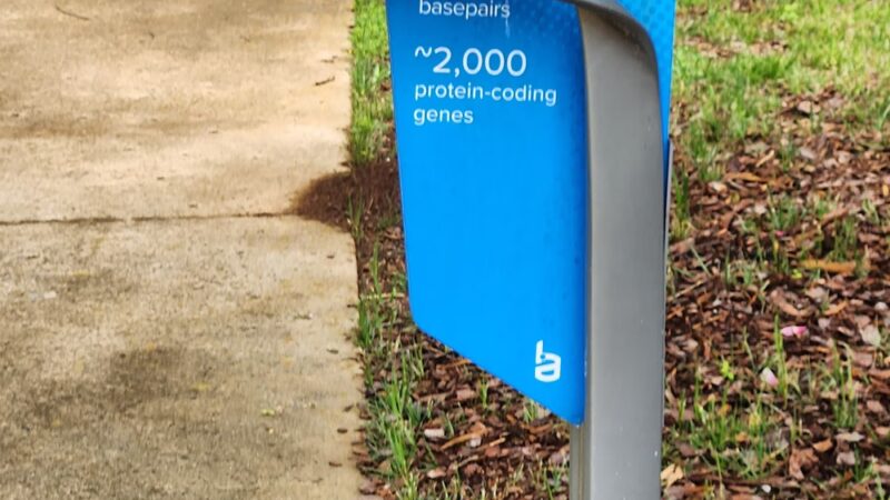 McMillian Park Double Helix Trail - Huntsville, AL