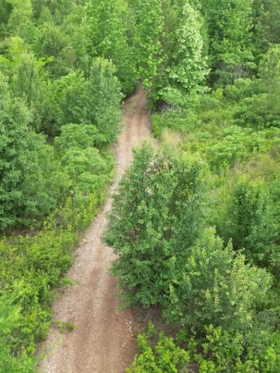 Dallas W. Fanning Nature Preserve - Huntsville, AL