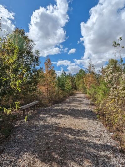 Dallas W. Fanning Nature Preserve - Huntsville, AL