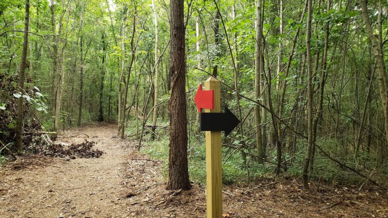 Dallas W. Fanning Nature Preserve - Huntsville, AL