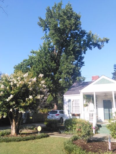 Hastings Park - Huntsville, AL