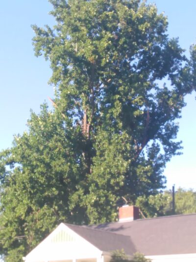 Hastings Park - Huntsville, AL