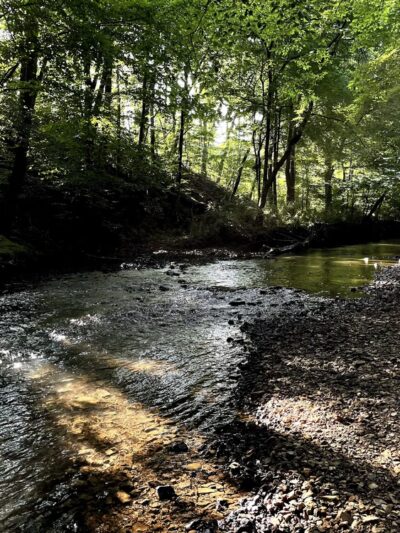 Indian Creek Greenway - Huntsville, AL