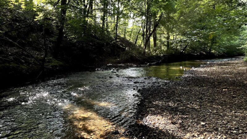 Indian Creek Greenway - Huntsville, AL