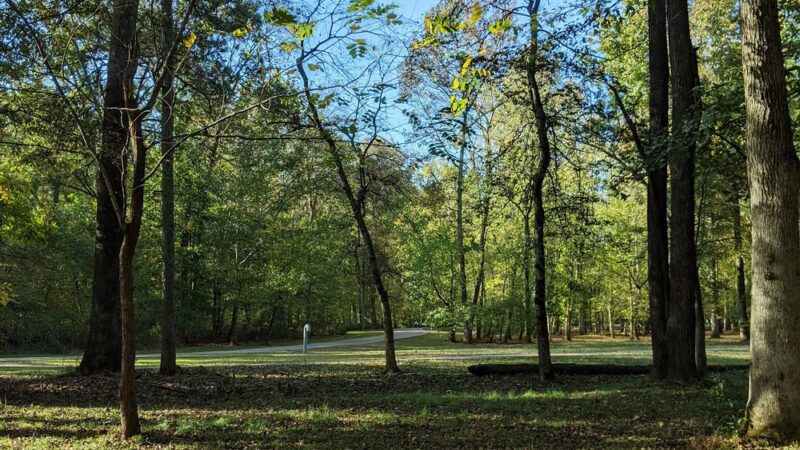 Indian Creek Greenway - Huntsville, AL