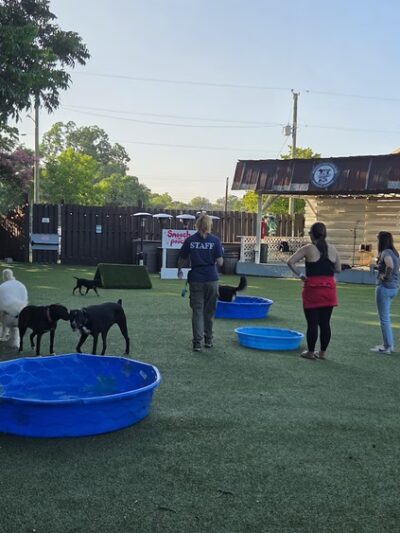 Rocket City Dog Bar - Huntsville, AL