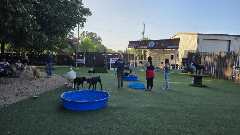 Rocket City Dog Bar - Huntsville, AL