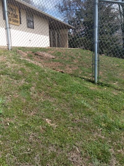 Paws and Claws Pet Shelter - Huntsville, AR