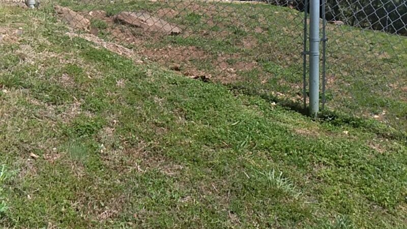 Paws and Claws Pet Shelter - Huntsville, AR