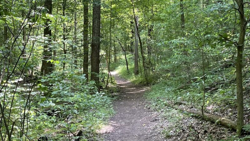 Meeks Mountain Trails - Hurricane, WV