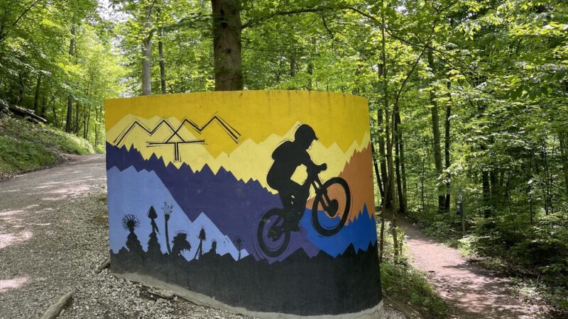 Meeks Mountain Trails - Hurricane, WV