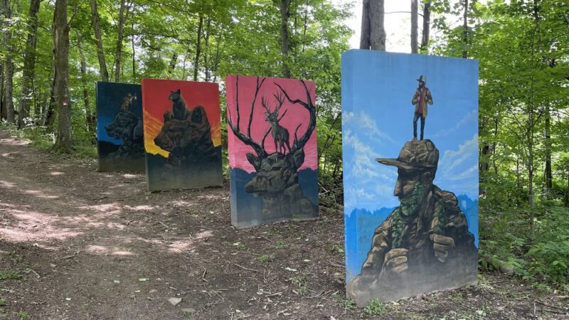 Meeks Mountain Trails - Hurricane, WV