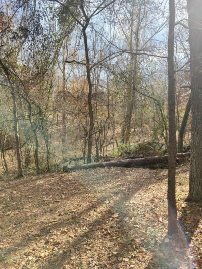 Valley Park Inclusive Playground - Hurricane, WV